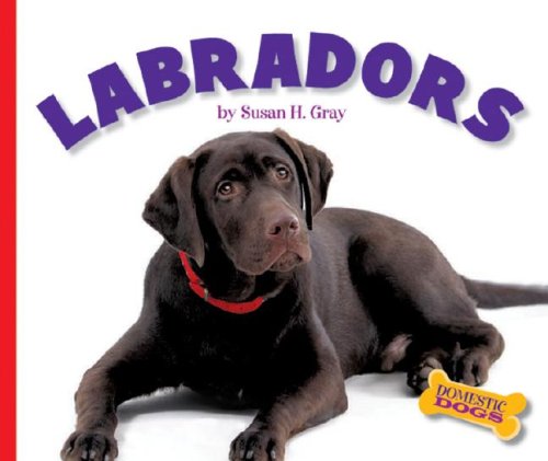 Labradors (Domestic Dogs) (9781592967759) by Gray, Susan Heinrichs