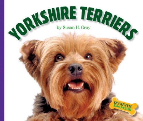 9781592967780: Yorkshire Terriers (Domestic Dogs)