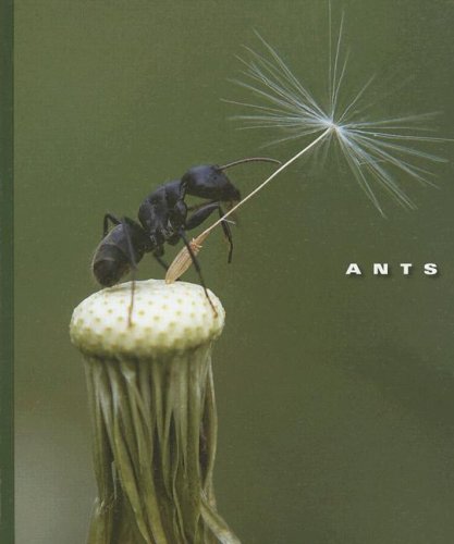 Imagen de archivo de Ants a la venta por ThriftBooks-Atlanta