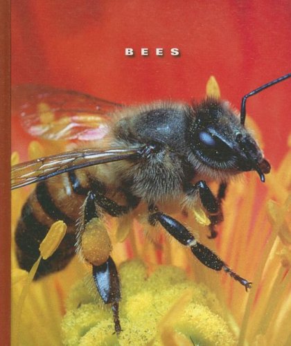 Imagen de archivo de Bees a la venta por Better World Books