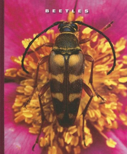 Imagen de archivo de Beetles a la venta por ThriftBooks-Dallas