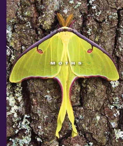 Beispielbild fr Moths zum Verkauf von Better World Books