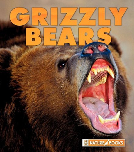 Imagen de archivo de Grizzly Bears a la venta por Better World Books