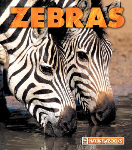 Stock image for Zebras for sale by Better World Books