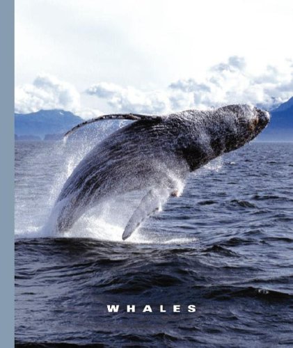 Beispielbild fr Whales zum Verkauf von Better World Books