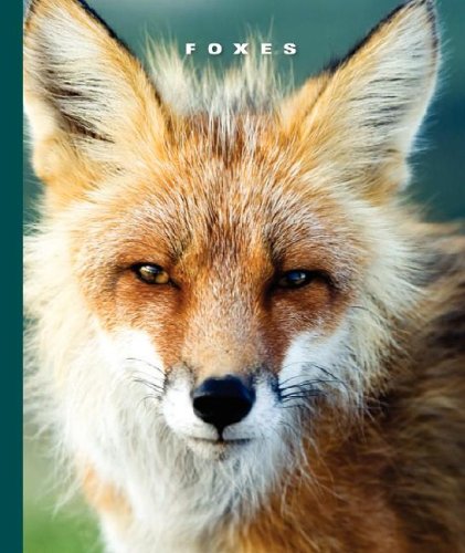 Beispielbild fr Foxes zum Verkauf von Better World Books