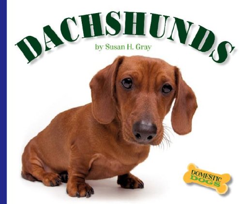 Dachshunds (Domestic Dogs, 1269) (9781592969647) by Gray, Susan Heinrichs