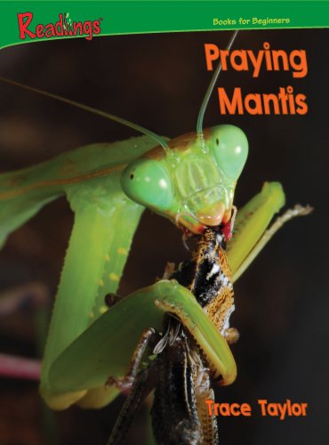 9781593018504: Praying Mantis (Readings)