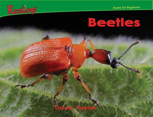 Beispielbild fr Beetles (Bugs!) zum Verkauf von SecondSale