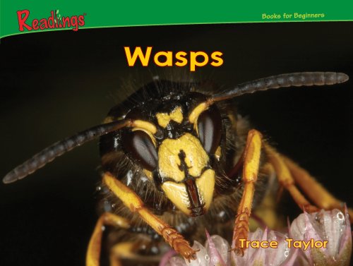 Beispielbild fr Wasps (Bugs!) zum Verkauf von Wonder Book