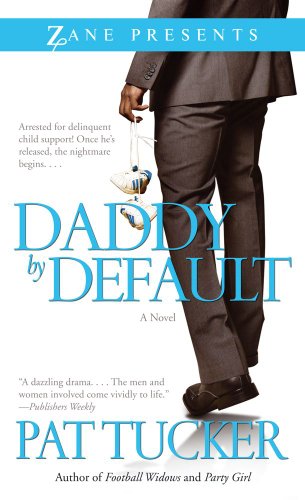 9781593093143: Daddy by Default: A Novel