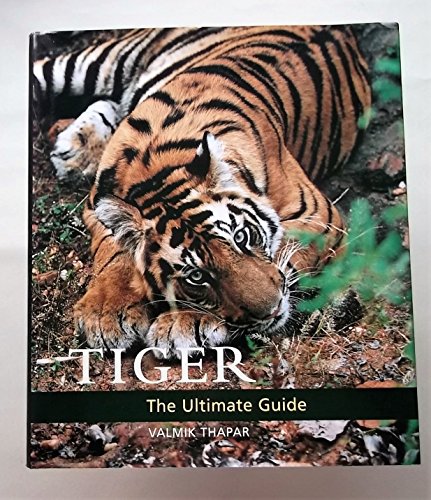 Beispielbild fr Tiger zum Verkauf von Brit Books