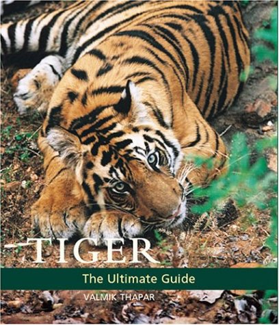 Imagen de archivo de Tiger a la venta por SecondSale