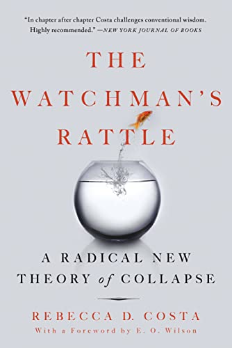 Stock image for The Watchman's Rattle: A Radical New Theory of Collapse for sale by ThriftBooks-Atlanta
