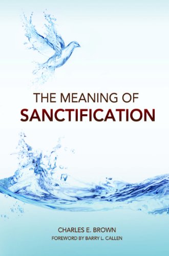 The Meaning of Sanctification (9781593176273) by Brown, Charles Ewing