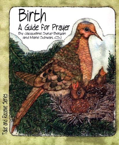 Imagen de archivo de Birth: A Guide for Prayer (Take and Receive Series) a la venta por HPB-Diamond