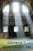 Beispielbild fr Holy Spirit, Make Your Home in Me: Biblical Meditations on Receiving the Gift of the Spirit zum Verkauf von BooksRun