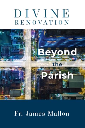 Imagen de archivo de Divine Renovation Beyond the Parish a la venta por PBShop.store US