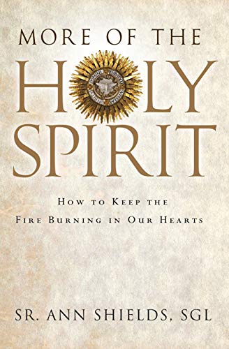 Beispielbild fr More of the Holy Spirit: How to Keep the Fire Burning in Our Hearts zum Verkauf von Wonder Book