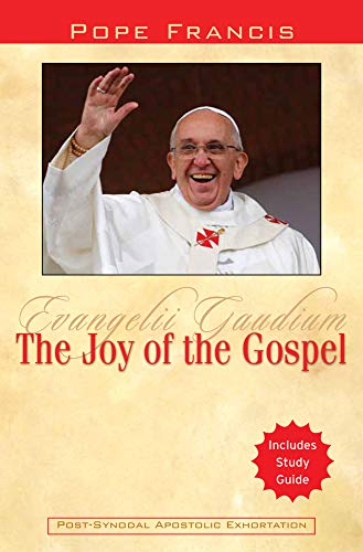Beispielbild fr The Joy of the Gospel: Evangelii Gaudium zum Verkauf von SecondSale