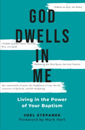 Stock image for God Dwells in Me : Living in the Power of Your Baptism for sale by Better World Books
