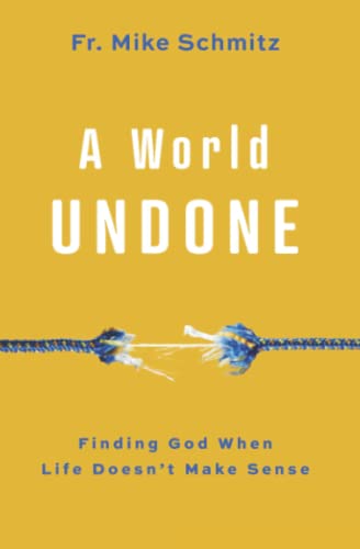 Stock image for A World Undone : Finding God When Life Doesn't Make Sense for sale by Better World Books