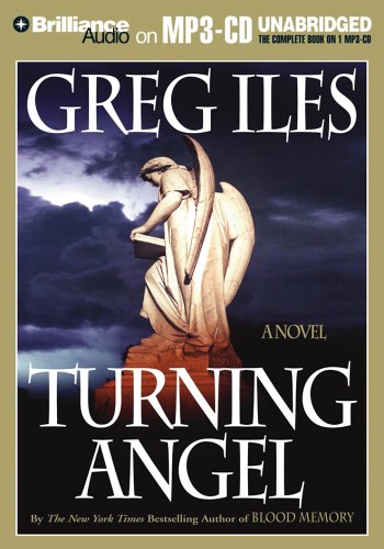 Stock image for Turning Angel for sale by Bookmans