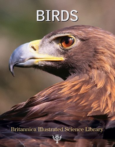 9781593393854: Birds (Britannica Illustrated Science Library)
