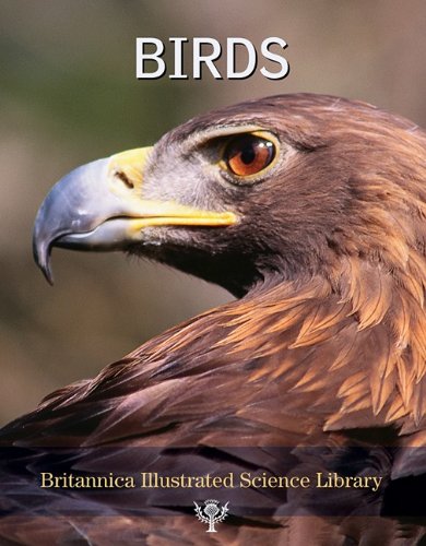 Imagen de archivo de Britannica Illustrated Science Library : Birds a la venta por Better World Books: West