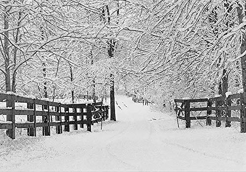 9781593591311: Mini Boxed Christmas Cards: Winter Tracks