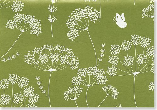 9781593591854: Note Card Queen Anne's Lace (Note Card Series)