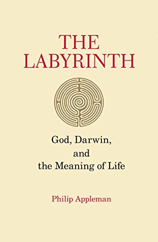 Beispielbild fr The Labyrinth: God, Darwin, and the Meaning of Life zum Verkauf von WorldofBooks