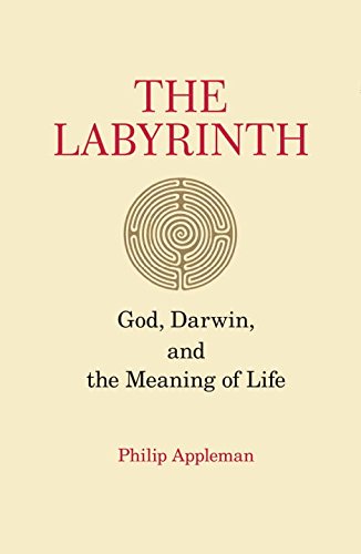 Stock image for The Labyrinth: God, Darwin, and the Meaning of Life for sale by WorldofBooks