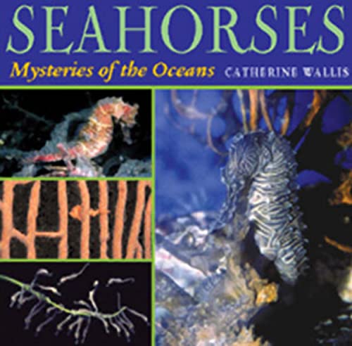 Beispielbild fr Seahorses: Mysteries of the Ocean zum Verkauf von Wonder Book