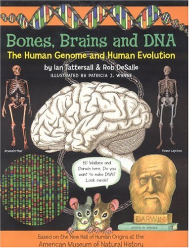 Stock image for Bones, Brains and DNA : The Human Genome and Human Evolution for sale by Better World Books