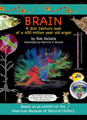 Beispielbild fr Brain: A 21st Century Look at a 400 Million Year Old Organ (2) (Wallace and Darwin) zum Verkauf von HPB-Emerald