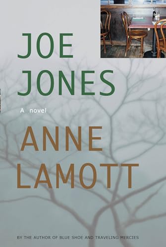 Stock image for Joe Jones: A Novel for sale by Orion Tech