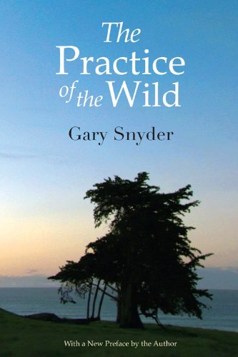 Beispielbild fr The Practice of the Wild : Essays zum Verkauf von Better World Books