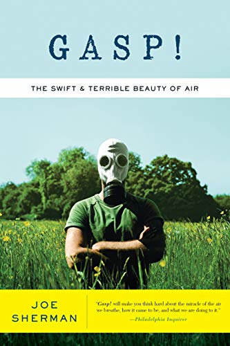 Beispielbild fr Gasp! : The Swift and Terrible Beauty of Air zum Verkauf von Better World Books