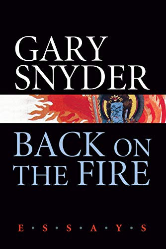 Imagen de archivo de Back on the Fire: Essays a la venta por SecondSale