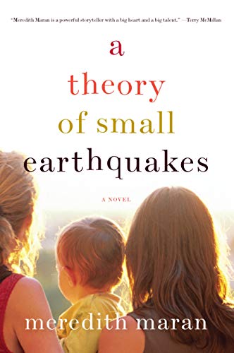 9781593764302: A Theory of Small Earthquakes