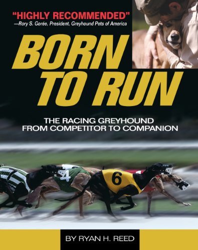 Stock image for The Born to Run: Racing Greyhound, from Competitor to Companion for sale by HPB-Red
