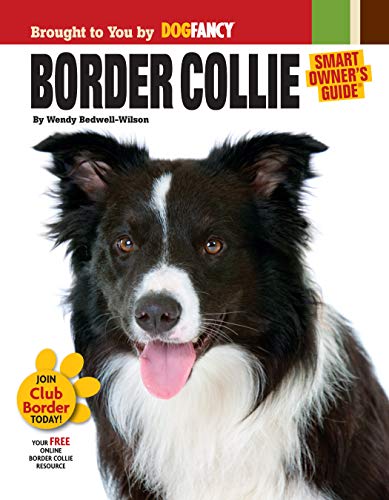 Imagen de archivo de Border Collie a la venta por Better World Books