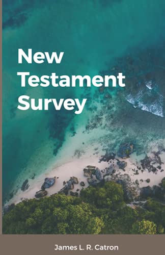 Stock image for New Testament Survey for sale by SecondSale