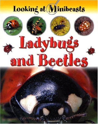 Ladybugs and Beetles (Looking at Minibeasts) (9781593890353) by Morgan, Sally