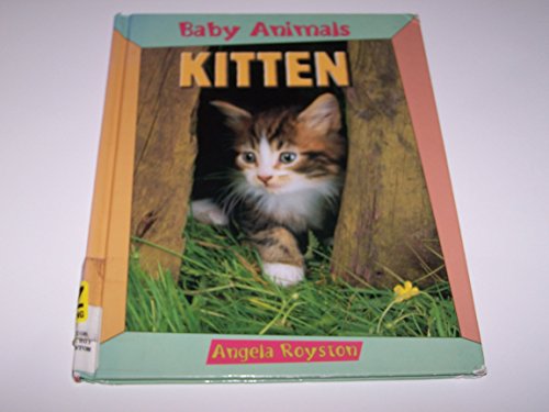Imagen de archivo de Kitten a la venta por Better World Books