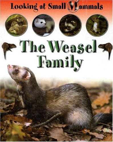 Imagen de archivo de The Weasel Family a la venta por Better World Books