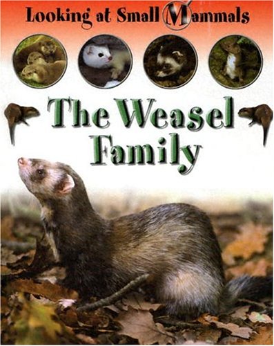 9781593891732: The Weasel Family (Looking at Small Mammals)
