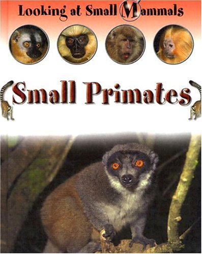 Small Primates (Looking at Small Mammals) (9781593891787) by Morgan, Sally