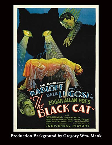 Stock image for The Black Cat for sale by SecondSale